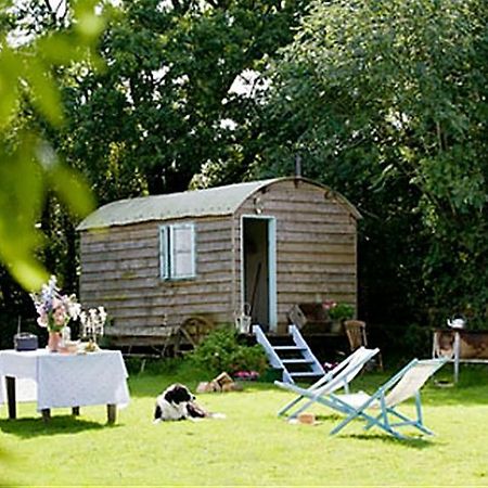 Mollies Hut Villa Frome Exterior foto