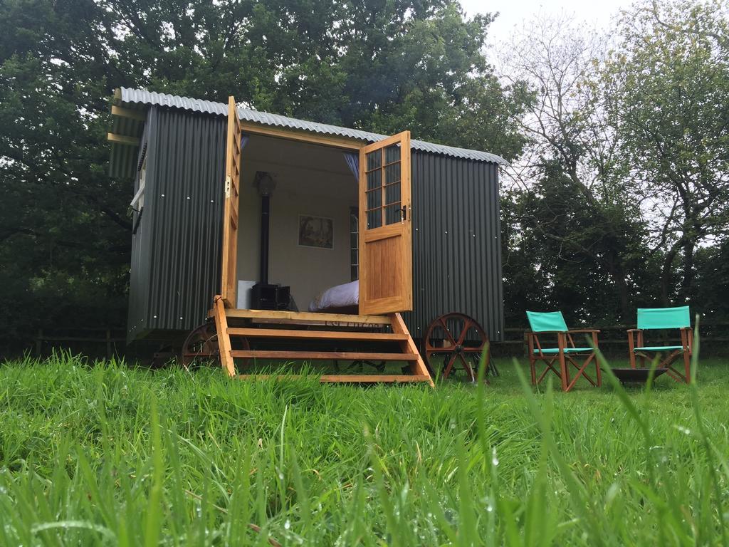 Mollies Hut Villa Frome Exterior foto